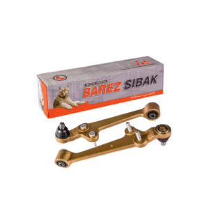 طبق کامل ریو